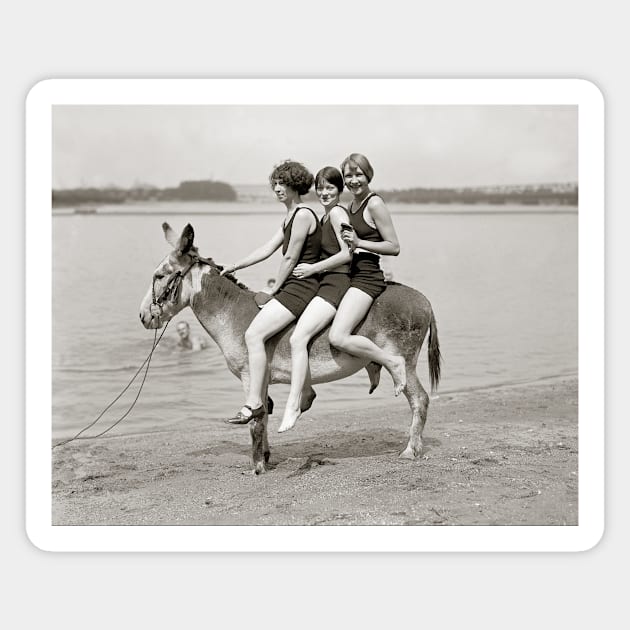 Ladies at Arlington Beach, 1924. Vintage Photo Magnet by historyphoto